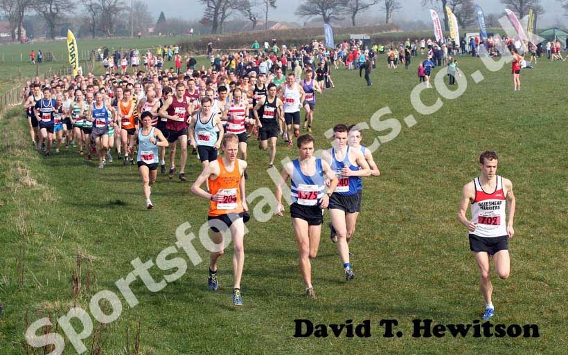 Red start North East Harrier League, Prudhoe, Northumberland.